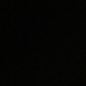 Meet your Posher, Molly